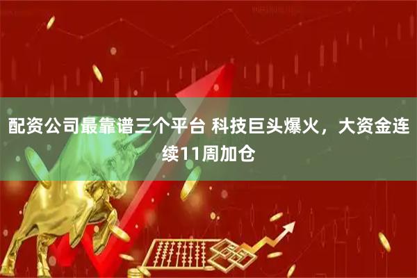 配资公司最靠谱三个平台 科技巨头爆火，大资金连续11周加仓