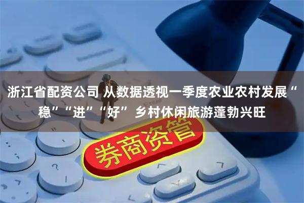 浙江省配资公司 从数据透视一季度农业农村发展“稳”“进”“好” 乡村休闲旅游蓬勃兴旺
