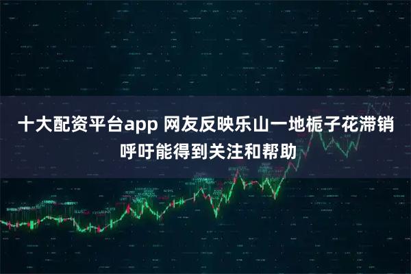 十大配资平台app 网友反映乐山一地栀子花滞销 呼吁能得到关注和帮助